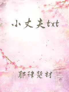 小丈夫txt