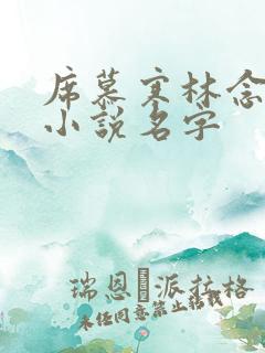 席慕寒林念儿的小说名字