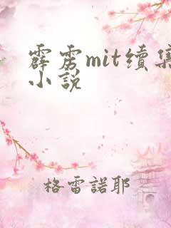 霹雳mit续集小说