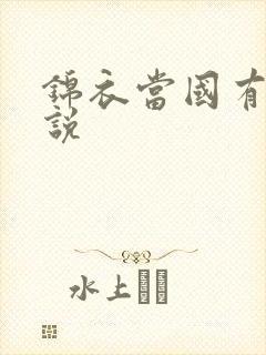 锦衣当国有声小说