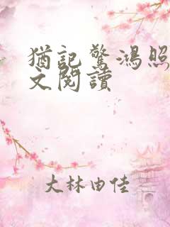 犹记惊鸿照影全文阅读