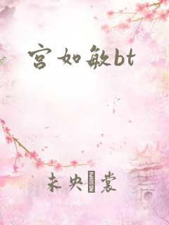 宫如敏bt