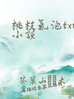 桃枝气泡txt小说