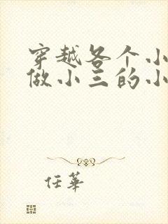 穿越各个小世界做小三的小说