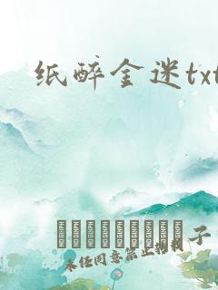 纸醉金迷txt
