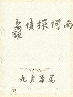 名侦探柯南h小说