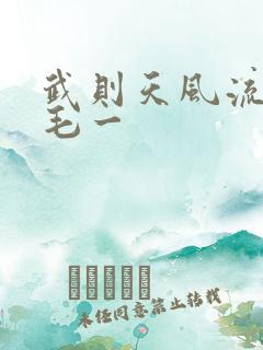 武则天风流艳情毛一