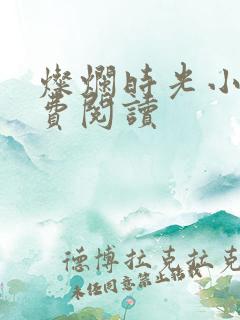 灿烂时光小说免费阅读