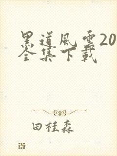 黑道风云20年全集下载