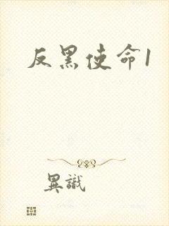 反黑使命1