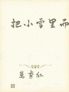 把小雪里面整满