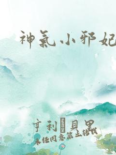 神气小邪妃