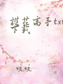 护花高手txt下载