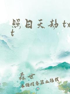 照日天劫 txt