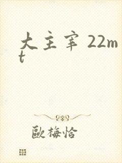 大主宰 22mt
