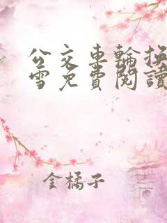 公交车轮换C程雪免费阅读