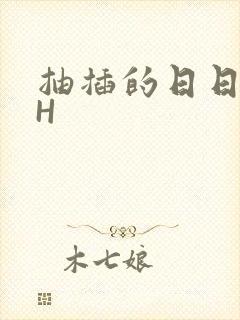 抽插的日日液液H