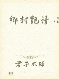 乡村艳情 小说