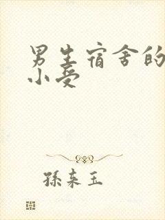 男生宿舍的公共小受