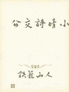 公交诗晴小说