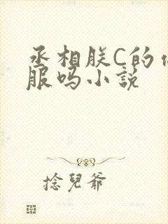 丞相朕C的你舒服吗小说