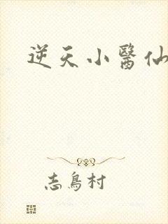 逆天小医仙陈平