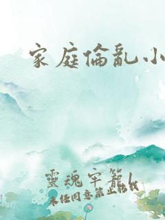 家庭伦乱小说