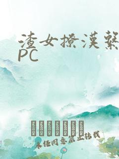 渣女撩汉系统NPC