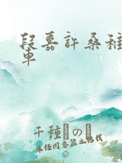 段嘉许桑稚浴室车