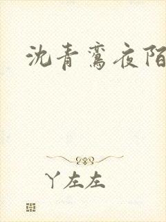 沈青鸾夜陌凌
