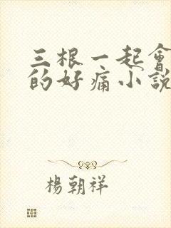 三根一起会坏掉的好痛小说