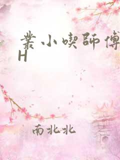 丛小吃师傅的HH