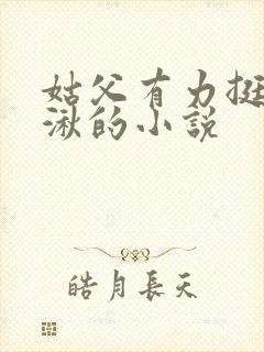 姑父有力挺送徐湫的小说