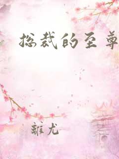 总裁的至尊前妻