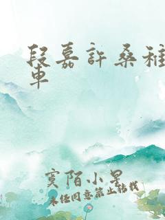 段嘉许桑稚浴室车