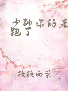 少帅你的老婆又跑了