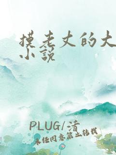 摸老丈的大牛子小说