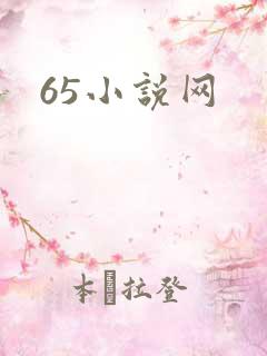 65小说网