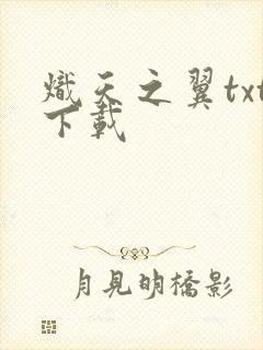 炽天之翼txt下载