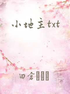 小地主txt