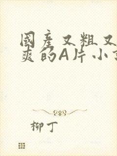 国产又粗又黄又爽的A片小说