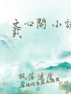 文心阁 小说连载