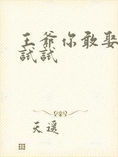 王爷你敢娶小三试试