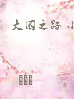 大国之路 小说