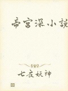 帝宫深小说