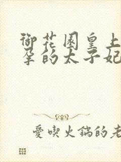 御花园皇上C有孕的太子妃