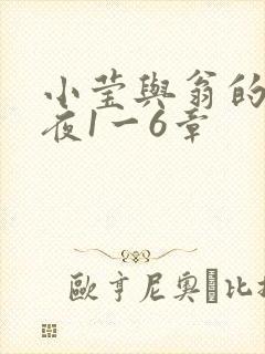 小莹与翁的销魂夜1一6章