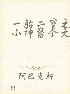 一胎二宝之弃妃小神医全文免费阅读