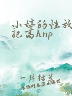 小婷的性放荡日记高hnp