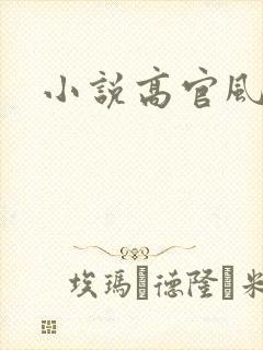 小说高官风流